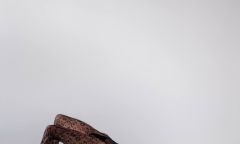 Проститутка Лана NEW Тел. 8 988 272-47-05